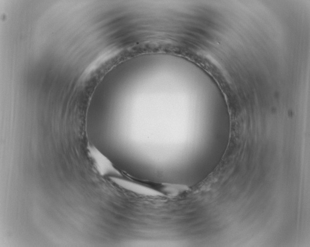 X0000088660919200706152028