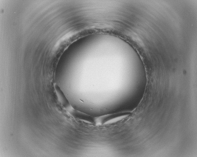 X0000088660920200706152029