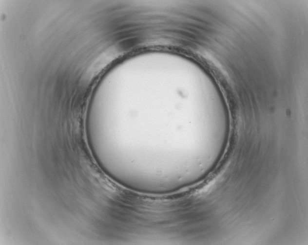 X0000088660921200706152029