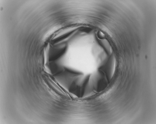 X0000088660922200706152029