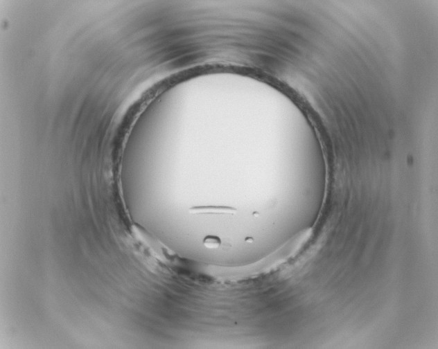 X0000088660923200706152029