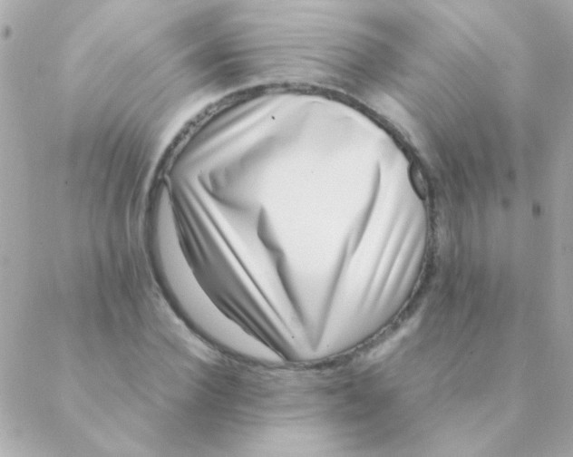 X0000088660924200706152029