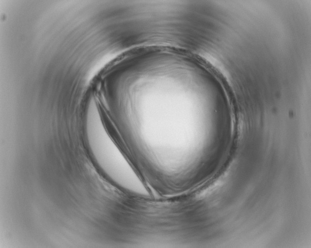 X0000088660925200706152029