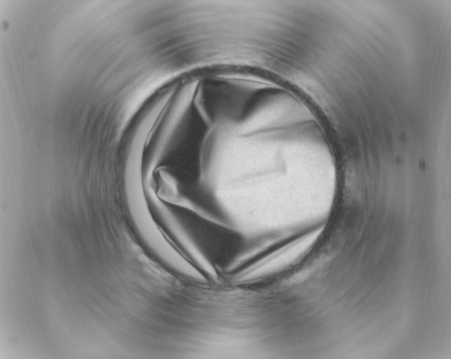 X0000088660926200706152029