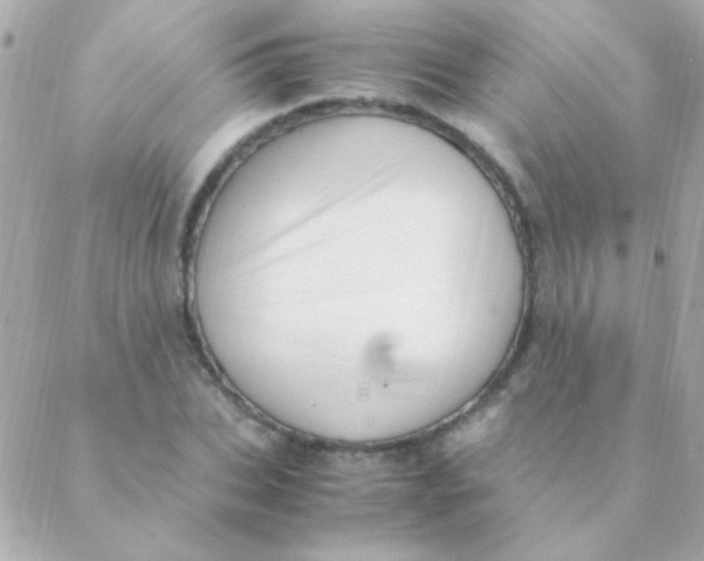 X0000088660927200706152029