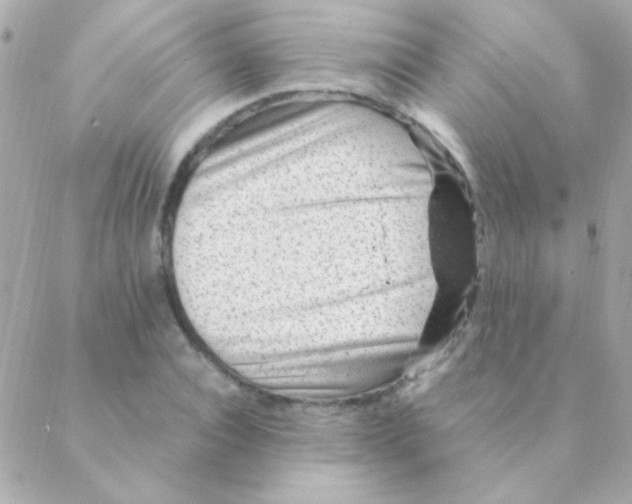 X0000088660928200706152029