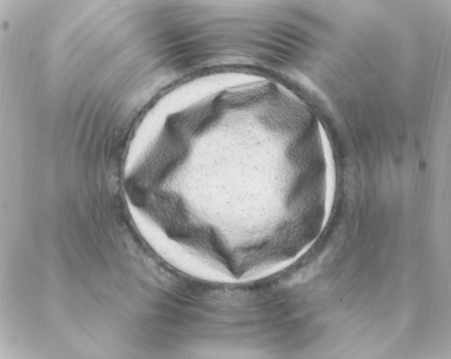 X0000088660929200706152029