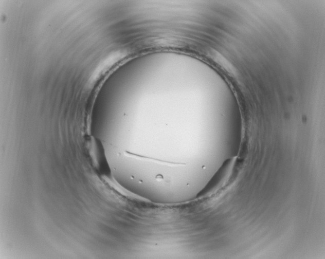 X0000088660930200706152029