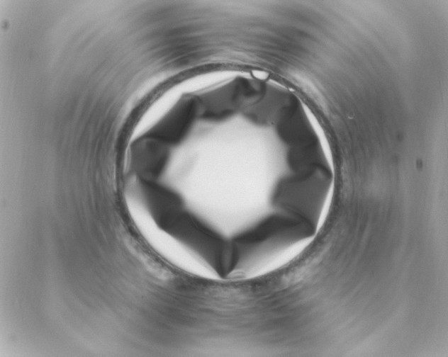 X0000088660931200706152029