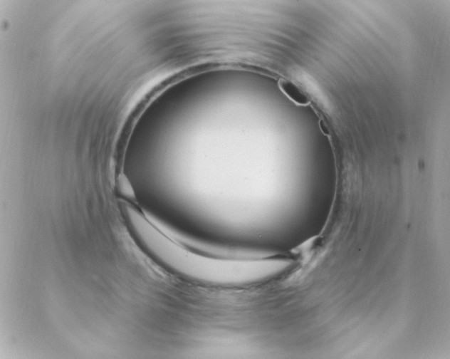 X0000088660932200706152029