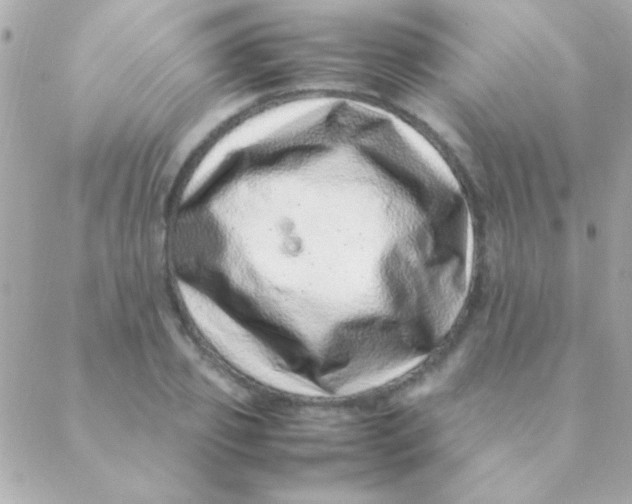 X0000088660933200706152029