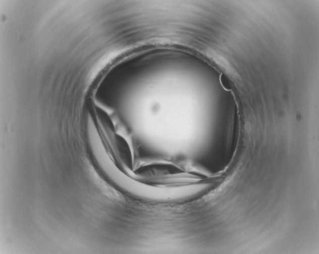 X0000088660934200706152029