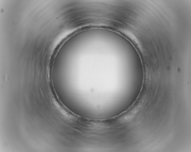 X0000088660935200706152029