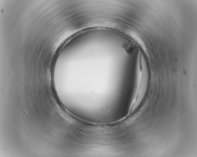 X0000088660936200706152029