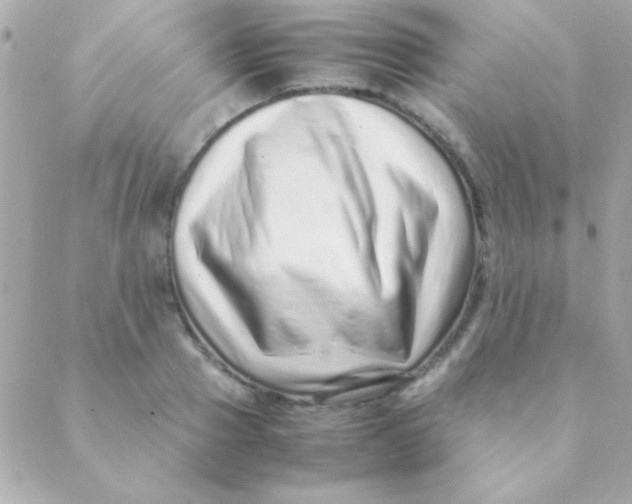 X0000088660937200706152029