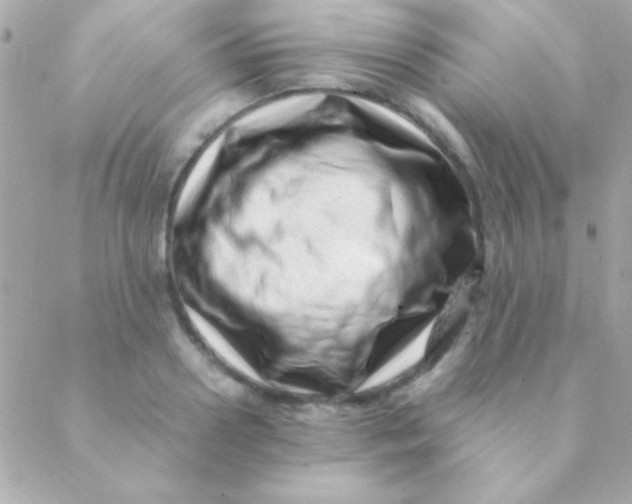 X0000088660938200706152029