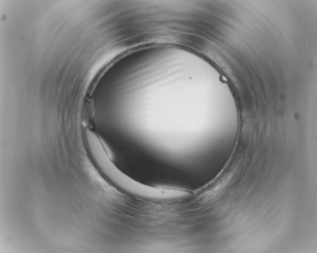 X0000088660939200706152029