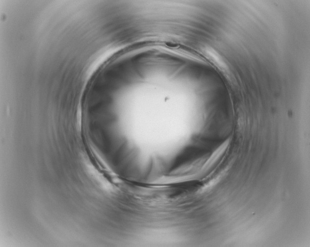 X0000088660940200706152029