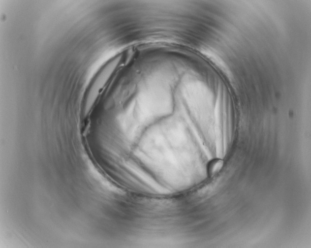 X0000088660941200706152029