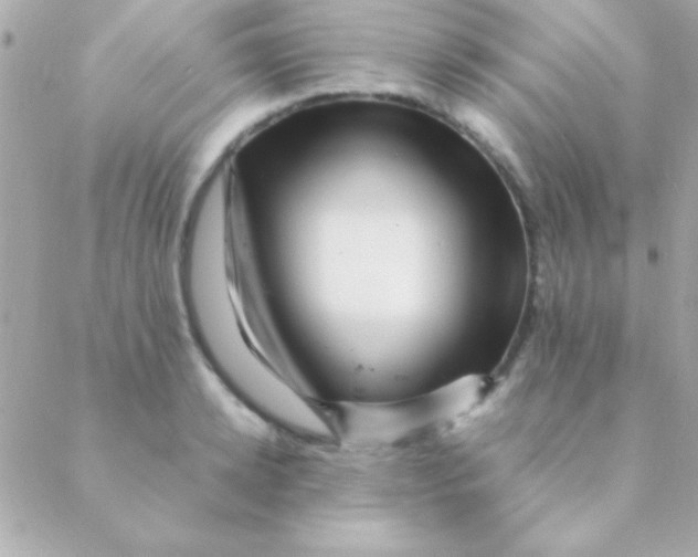 X0000088660942200706152029