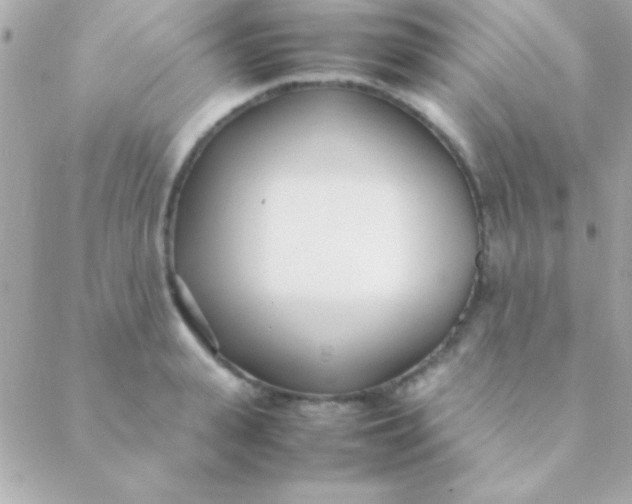 X0000088660943200706152029