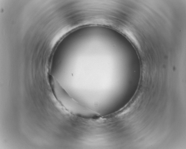 X0000088660944200706152029