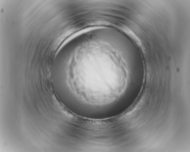 X0000088660945200706152029