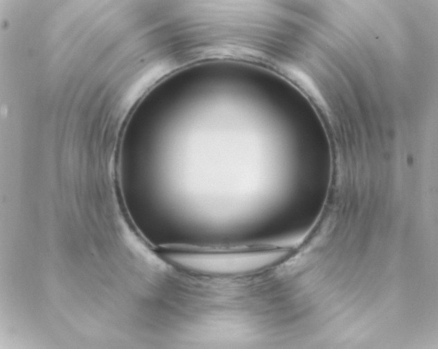 X0000088660946200706152029