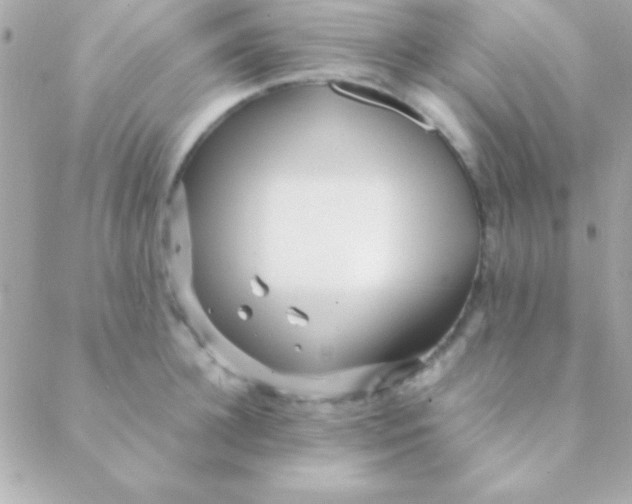 X0000088660948200706152029