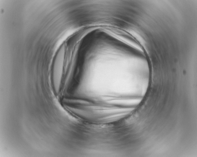 X0000088660949200706152029