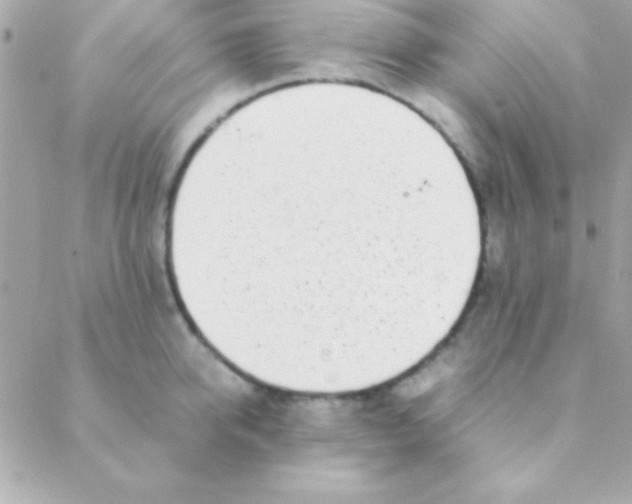 X0000088660950200706152029