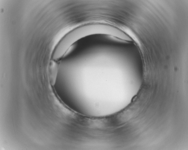 X0000088660951200706152029