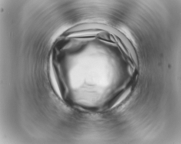 X0000088660952200706152029