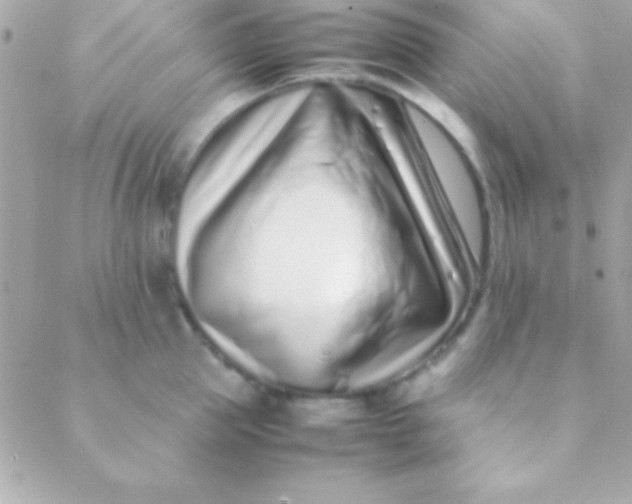 X0000088660953200706152029