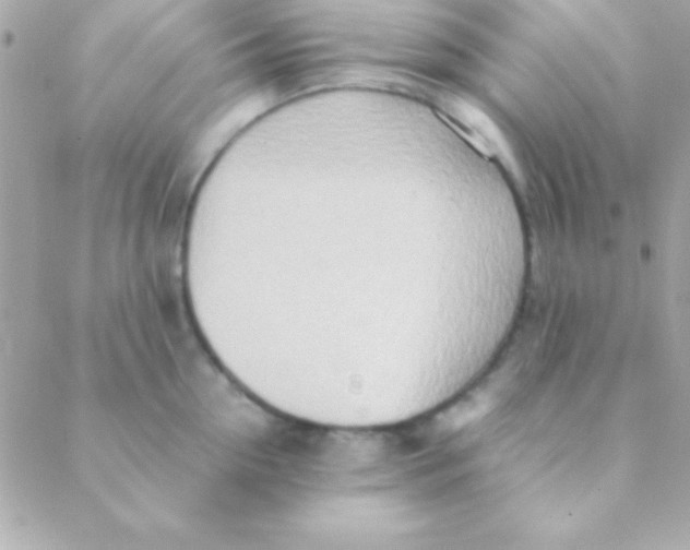 X0000088660954200706152029