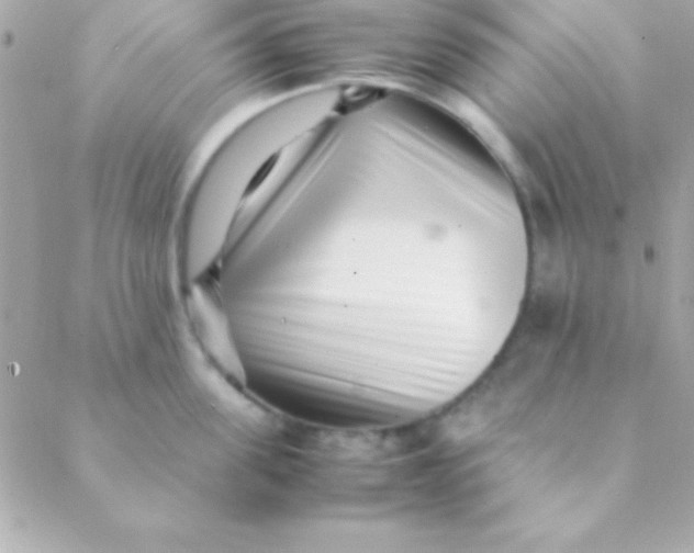 X0000088660955200706152029