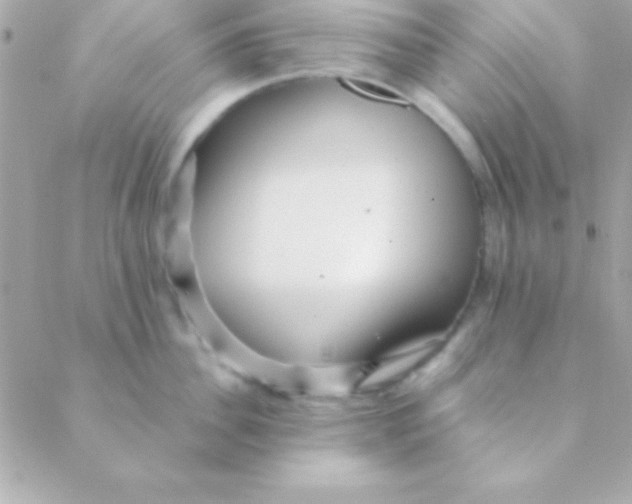 X0000088660956200706152029