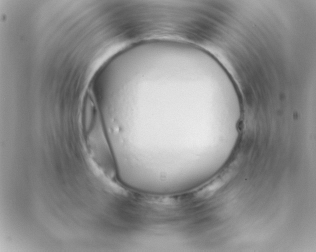 X0000088660957200706152029