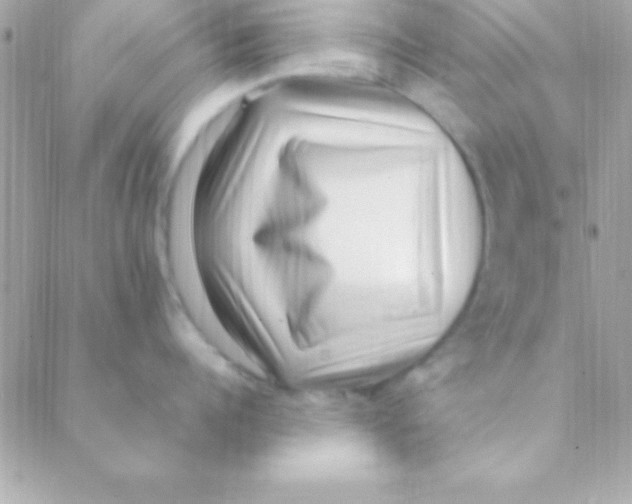 X0000088660960200706152029