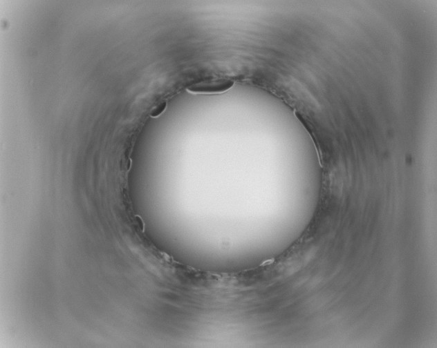 X0000088660961200706152028