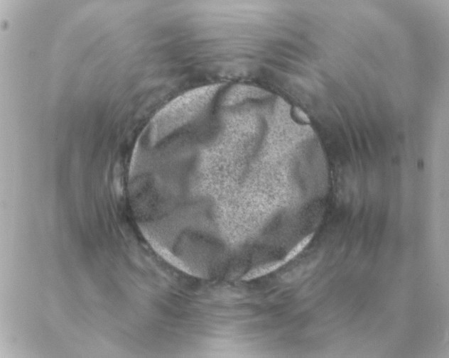 X0000088660962200706152028