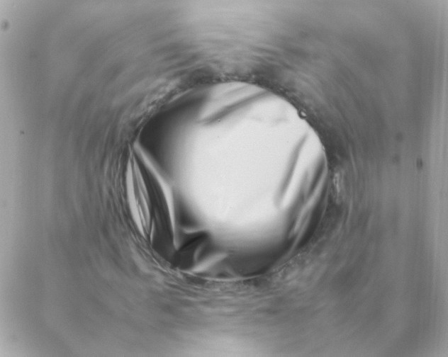 X0000088660963200706152028