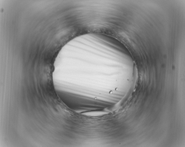 X0000088660964200706152028