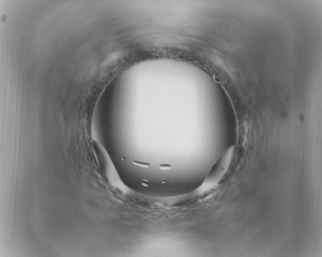 X0000088660965200706152028