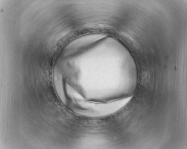 X0000088660966200706152028