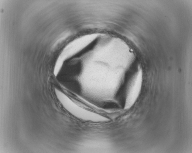 X0000088660967200706152028