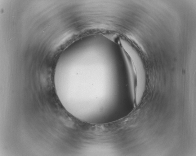 X0000088660968200706152028