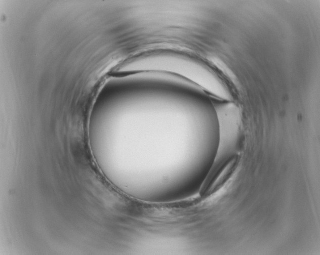 X0000088660969200706152028