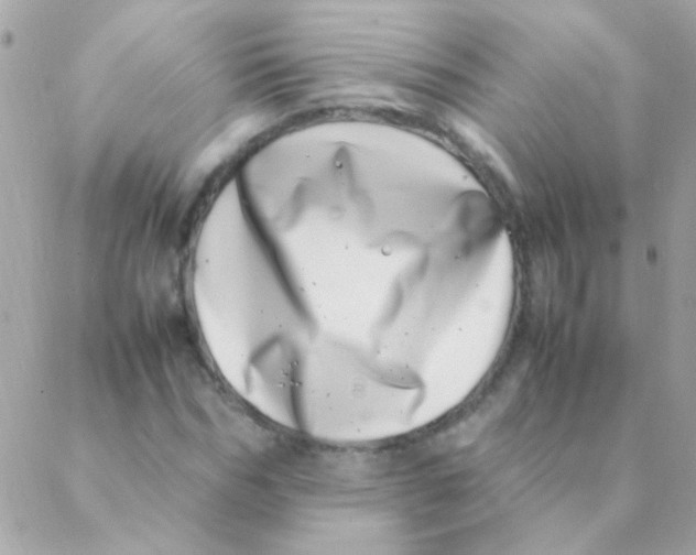 X0000088660970200706152028