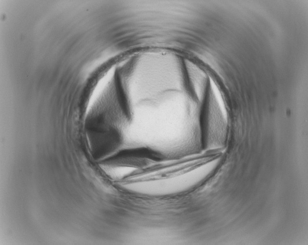 X0000088660971200706152028